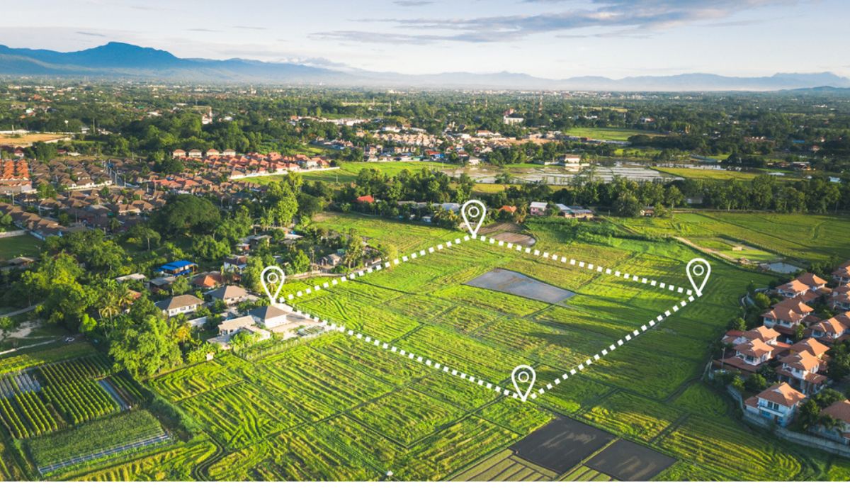 Plot Image 4